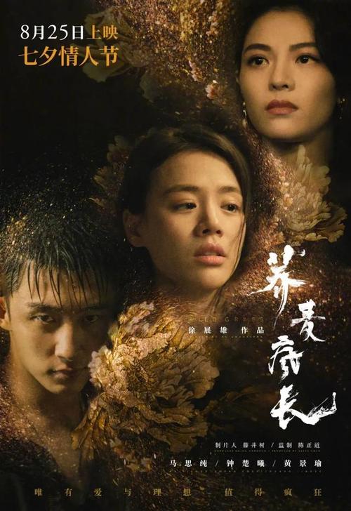 一级裁判员证书哪里能做